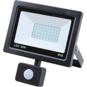 Led prožektor 30 W smd + andur, IP 65